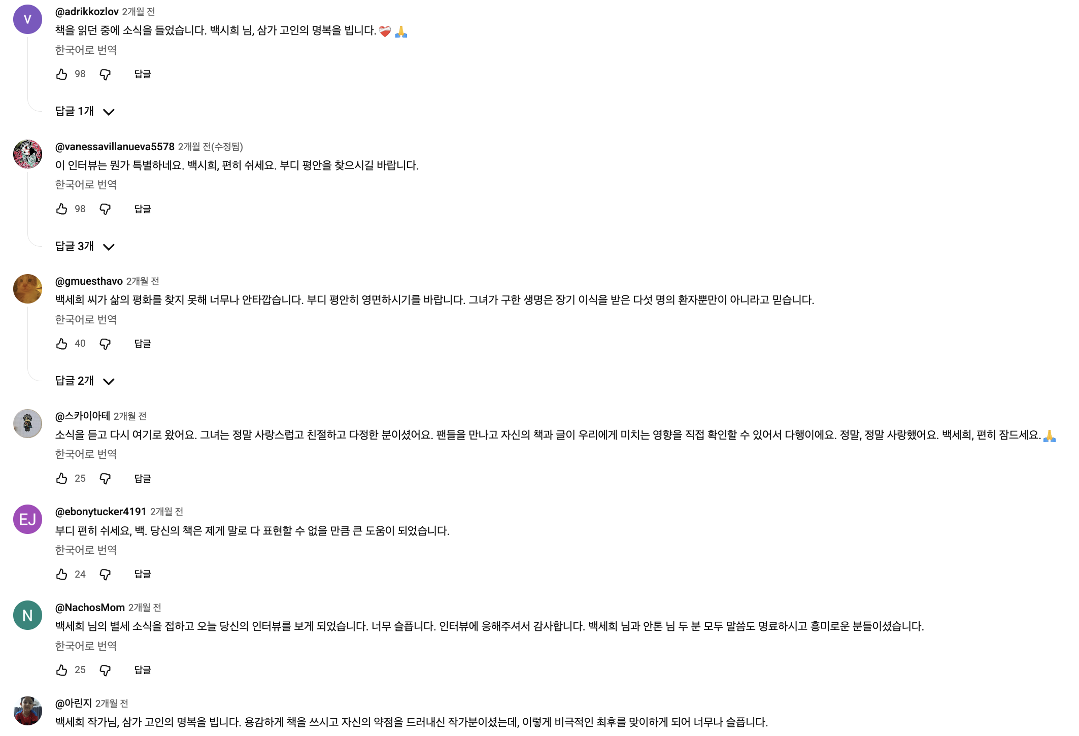 백세희 작가 인터뷰 영상에 달린 싱가포르 사람들의 댓글