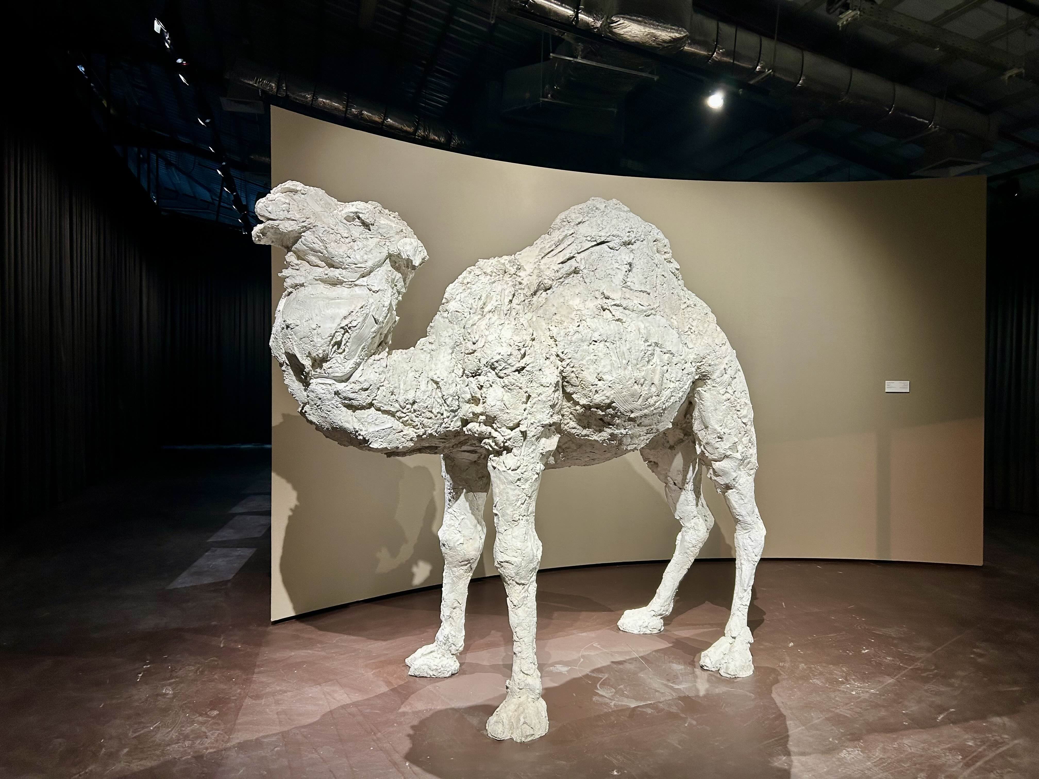 디리야 현대미술 비엔날레' 사우디 작가 출품작