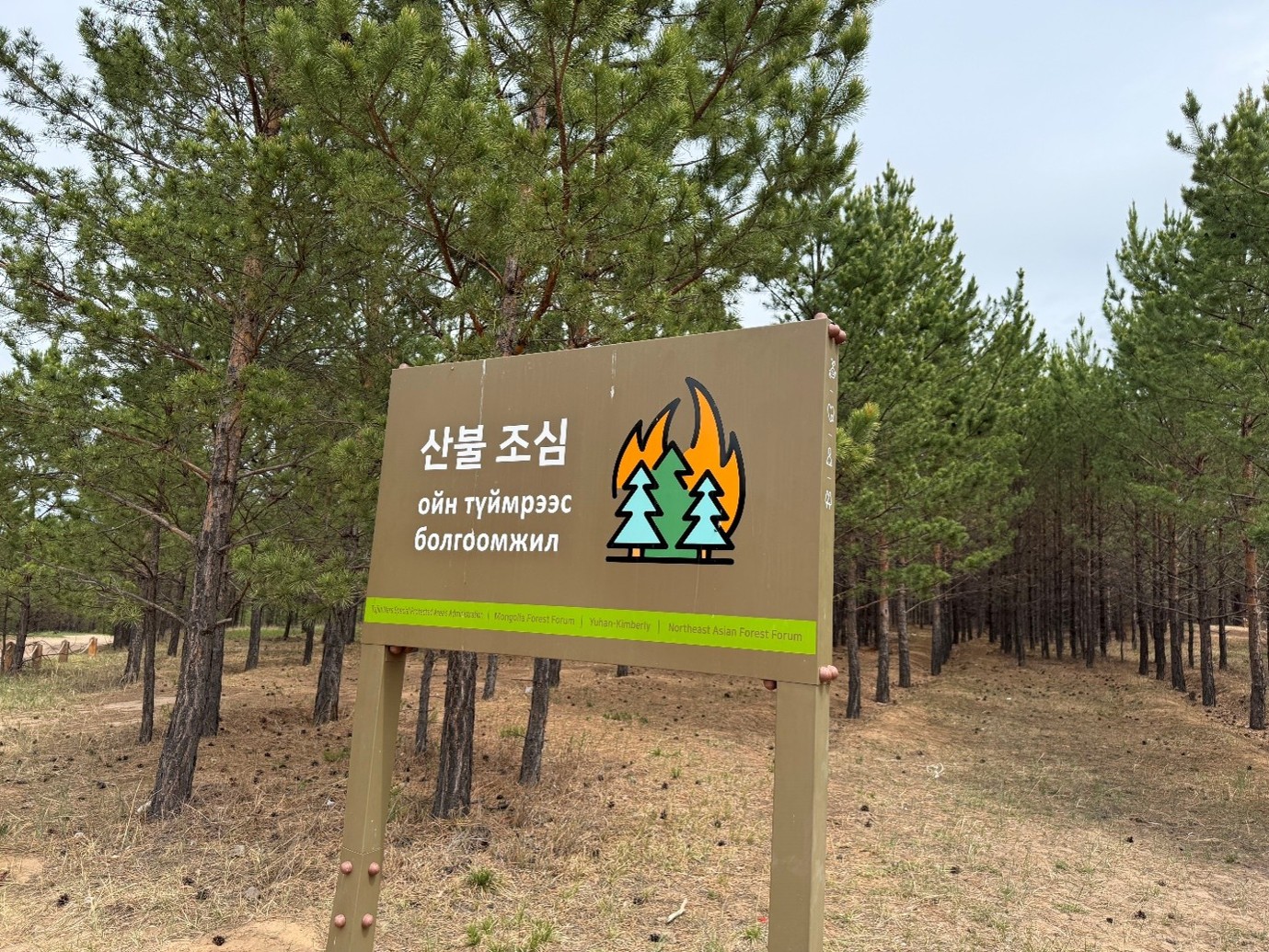 산불 예방을 위한 안내판