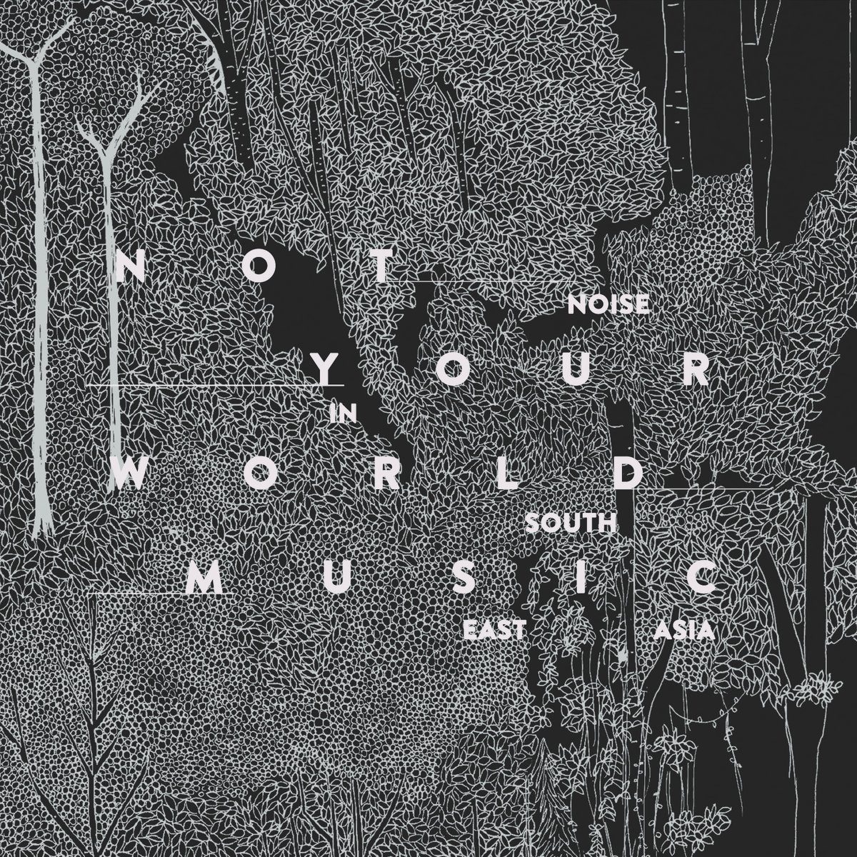 Not Your World Music: Noise in South East Asia (2016)